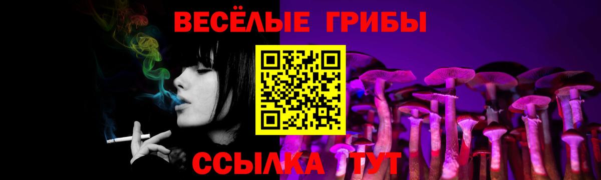 Псилоцибиновые грибы ЛСД Майкоп